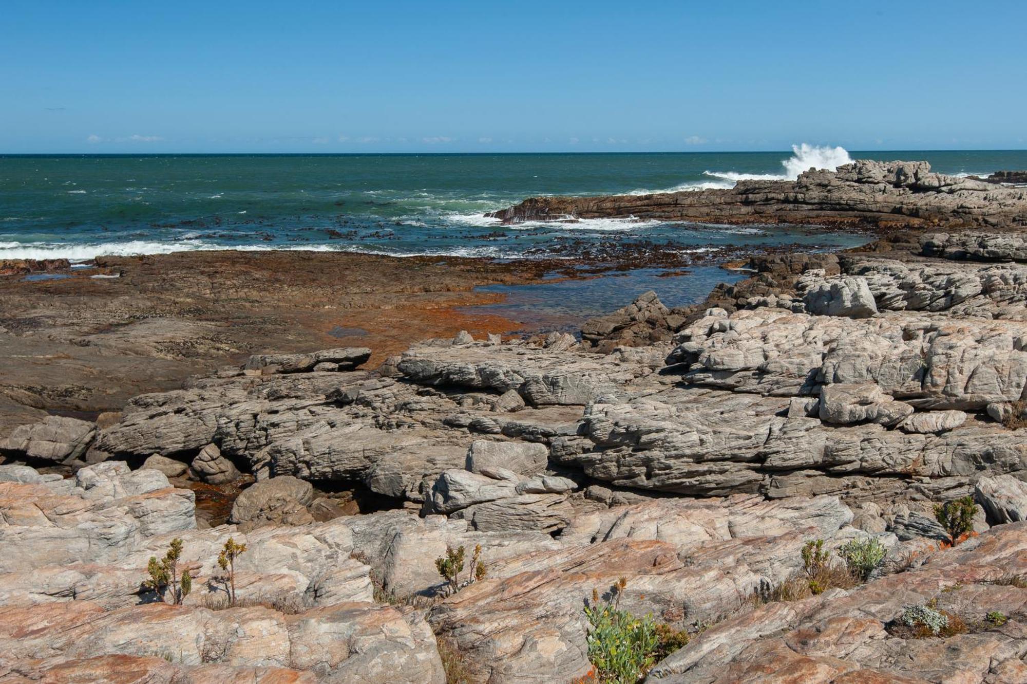 49 Whalerock Appartement Hermanus Buitenkant foto