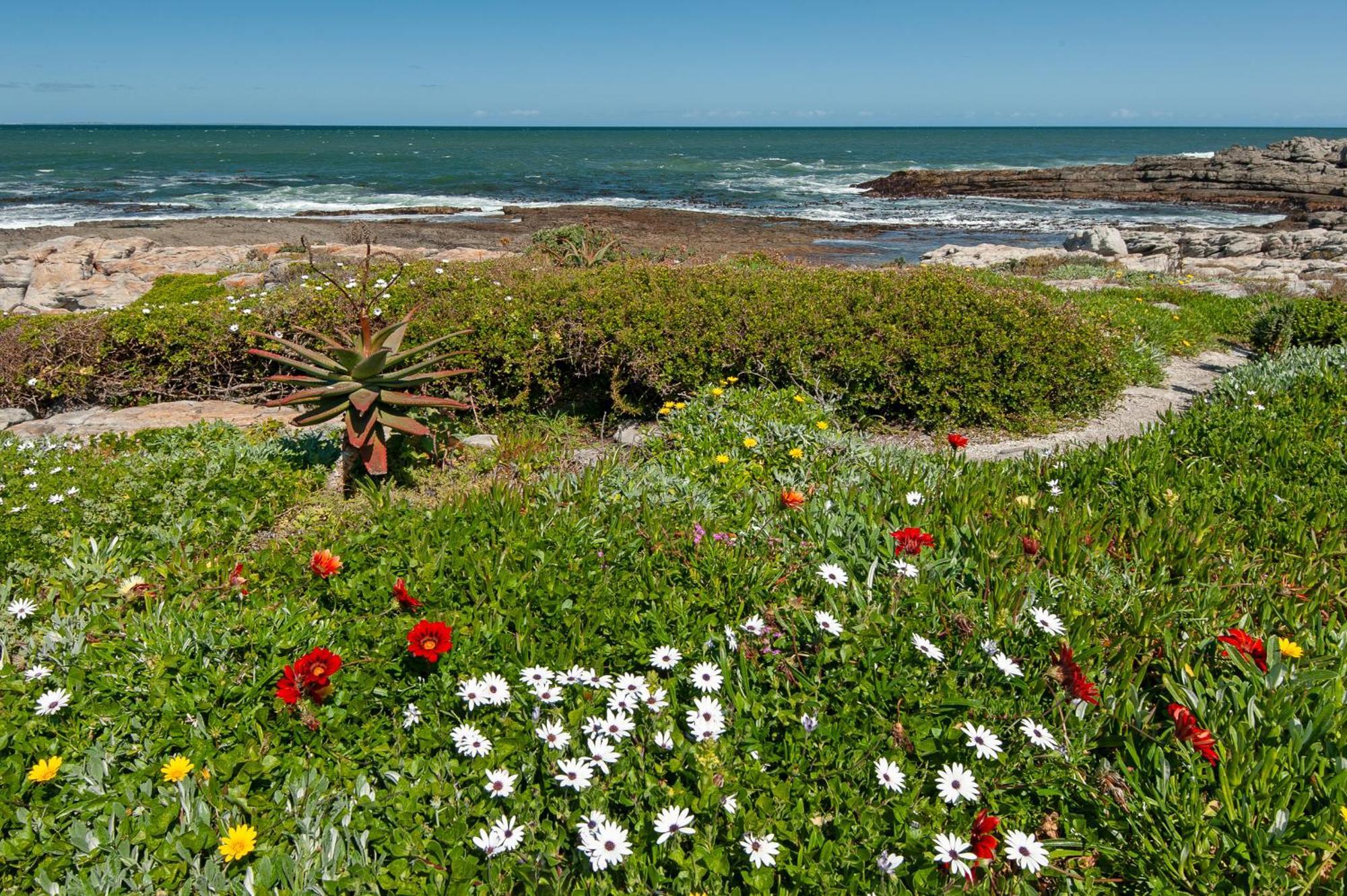 49 Whalerock Appartement Hermanus Buitenkant foto